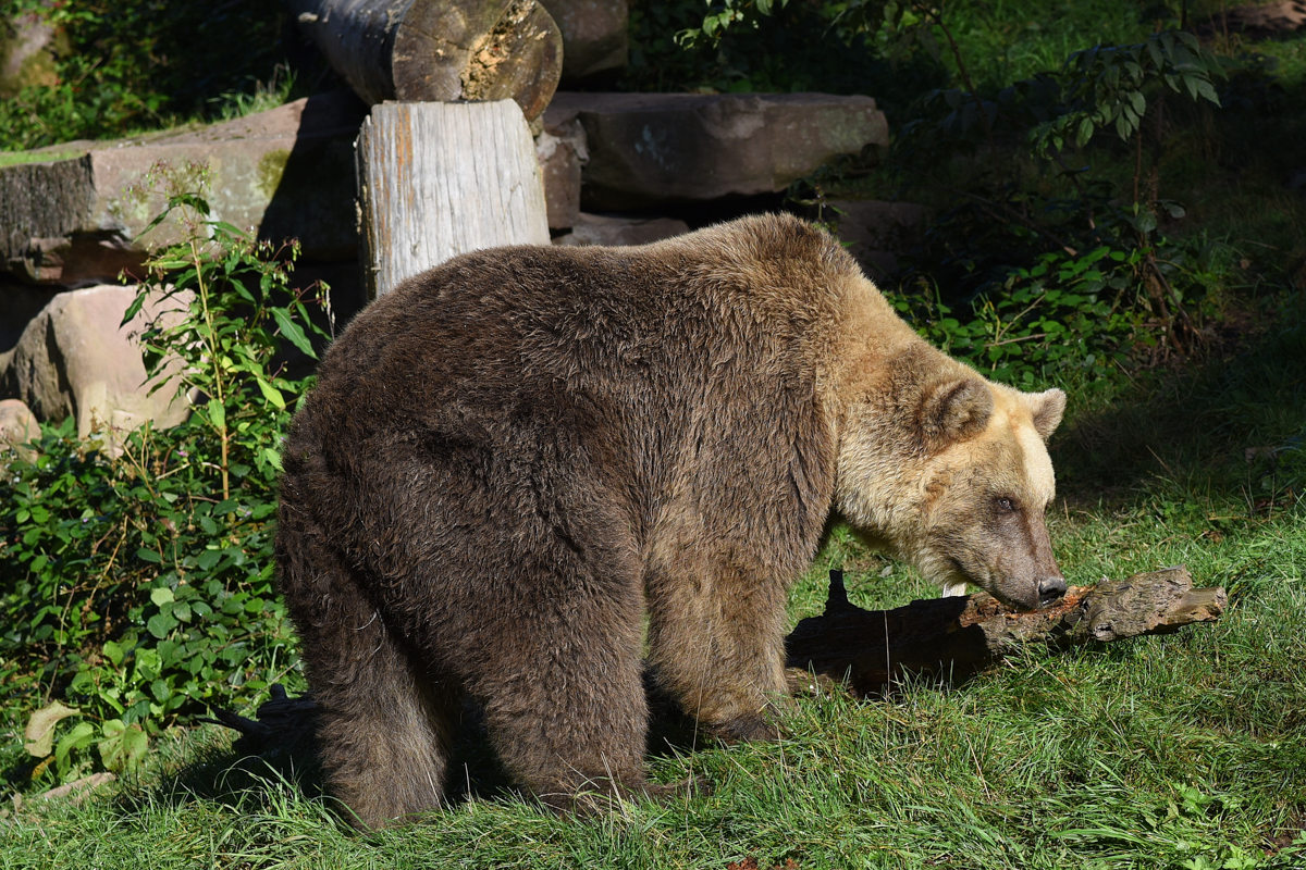 31-2311-Seniorenresidentie Zwarte Woud.jpg